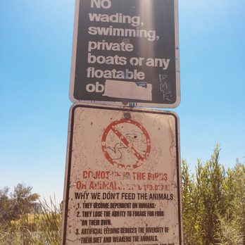 Sepulveda Basin Wildlife Preserve - Warnings and prohibitions on the man-made lake. - Parks Near Me - Van Nuys, California Sepulveda Basin Wildlife Preserve - Warnings and prohibitions on the man-made lake. - Parks Near Me - Van Nuys, California