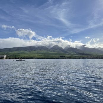 Teralani Sailing Adventures - Whale watching - Boating Near Me - Lahaina, Hawaii Teralani Sailing Adventures - Whale watching - Boating Near Me - Lahaina, Hawaii
