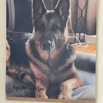 Gemcore Veterinary Services - Pet - Veterinarians Near Me - Chatsworth, California