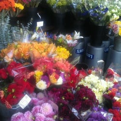 Urban Flowers - This is my happy place.