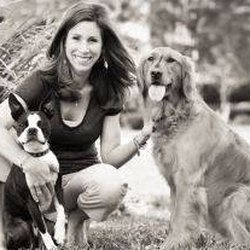 Parkwood Animal Hospital & Boarding