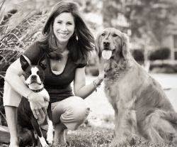 Parkwood Animal Hospital & Boarding - pet boarding facility in Friendswood, TX
