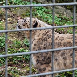 Zoo Salzburg