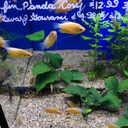 Aquariums West