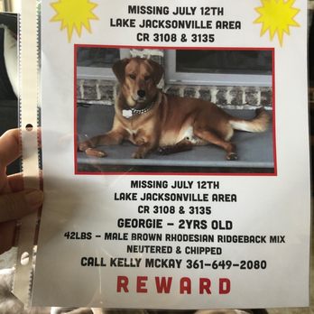 The UPS Store - Also...Our precious dog GEORGIE is still missing. If you see him PLEASE call me. - Shipping Centers Near Me - Tyler, Texas