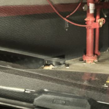 Clyde's Hot Chicken - Rats and mice running like crazy in the drive thru, disgusting! - Chicken Shop Near Me - Montclair, California Clyde's Hot Chicken - Rats and mice running like crazy in the drive thru, disgusting! - Chicken Shop Near Me - Montclair, California