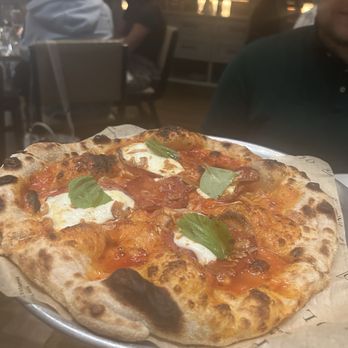 OLIVIA - Pizza - Italian Near Me - Tampa, Florida OLIVIA - Pizza - Italian Near Me - Tampa, Florida