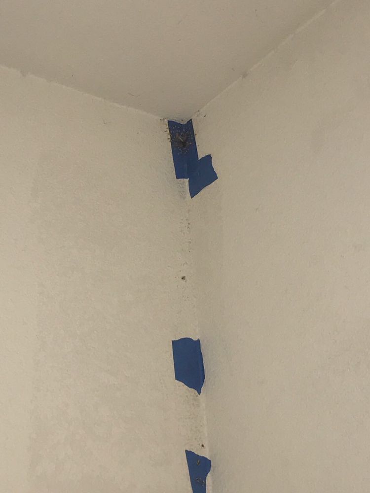 BAYVIEW APARTMENTS Updated August 2024 6900 N Main St, Baytown