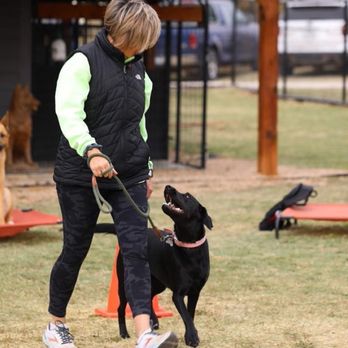 Vanburen K9 Academy - Pet Training Near Me Vanburen K9 Academy - Pet Training Near Me