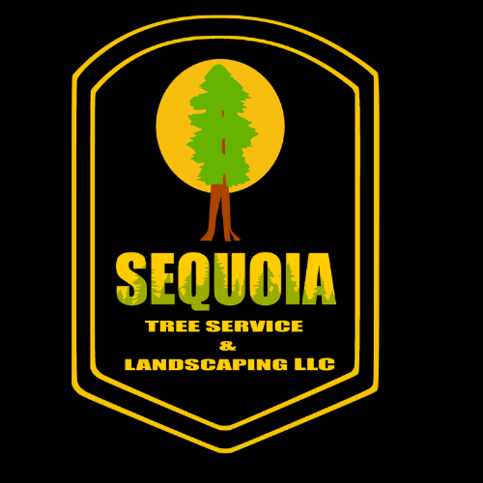 Sequoia Tree Service And Landscaping - tree service in San Antonio, TX