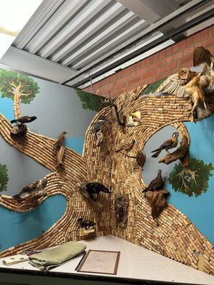 Shipley Nature Center by null