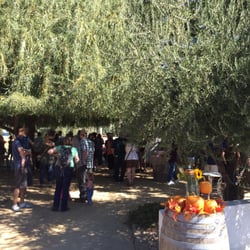 Bertagna Son Kissed Vineyards - Tasting tree