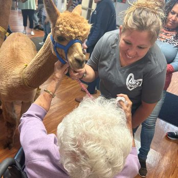 Heartland Haven Farm - Animal Assisted Therapy Near Me - Breesport, New York Heartland Haven Farm - Animal Assisted Therapy Near Me - Breesport, New York