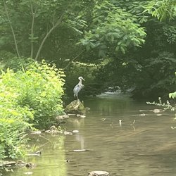 Bicentennial Greenbelt Park