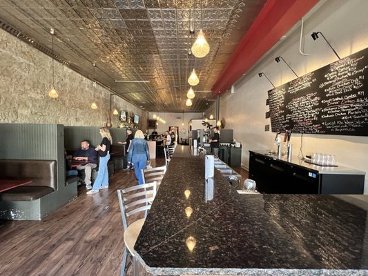 Loungin' Lizard by null