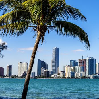 Danny Turetsky - First Miami Realty - Real Estate Agents Near Me - Hallandale beach, Florida
