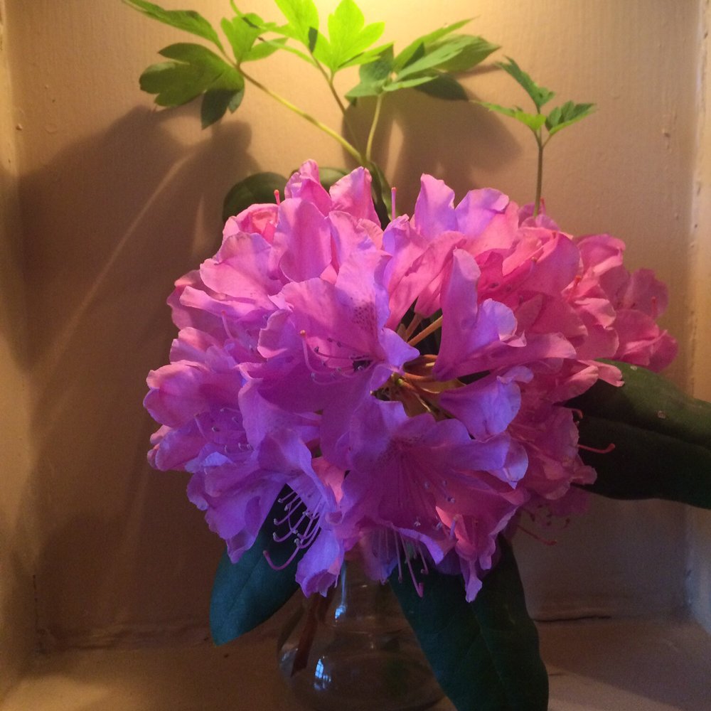 Crestwood Resort and Spa - Flowers displayed in the restaurant. - Hotels Near Me - Boone, North Carolina
