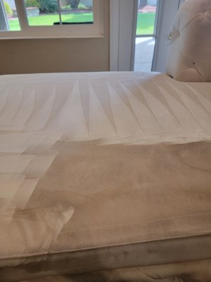 Steam Cleaning Available Same day or by Appointment! - Gabriel Carpet Care - Quality House Carpet Cleaning Services, Carpet Cleaner, Residential Carpet Cleaning!