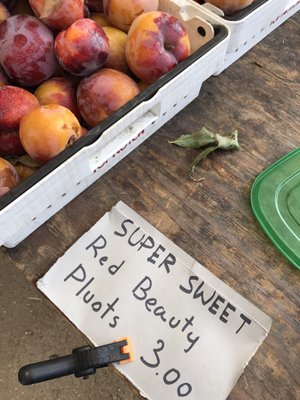 Santa Monica Saturday Pico Farmers Market by null