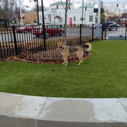 Westwood Town Hall dog park - Corner nearest intersection of Montana and Epworth