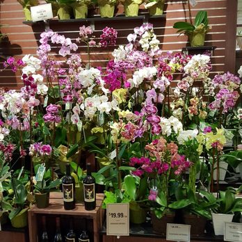 The Fresh Market - Grocery Near Me - Virginia Beach, Virginia The Fresh Market - Grocery Near Me - Virginia Beach, Virginia
