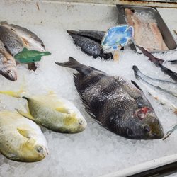 Florida Fish Market & Seafood
