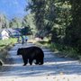 Photo of Traboulay Poco Trail