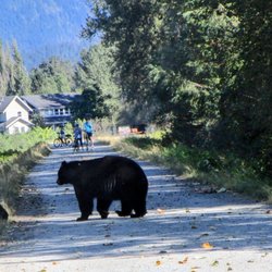 Traboulay Poco Trail