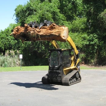 Cricket's Tree Service - Tree Services Near Me - Tallahassee, Florida