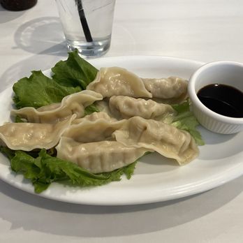 Pho Nasa - 7. Dumpling - Vietnamese Near Me - Houston, Texas
