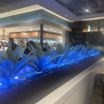 The Mexicano - Mexican Near Me - Phoenix, Arizona