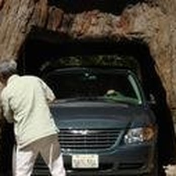 Drive-Thru Tree - Dad easing the van in - Parks Near Me - Leggett, California