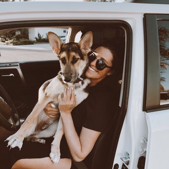 coastal shepherd rescue