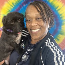 Leo my Yorkiepoo! My handsome boy!