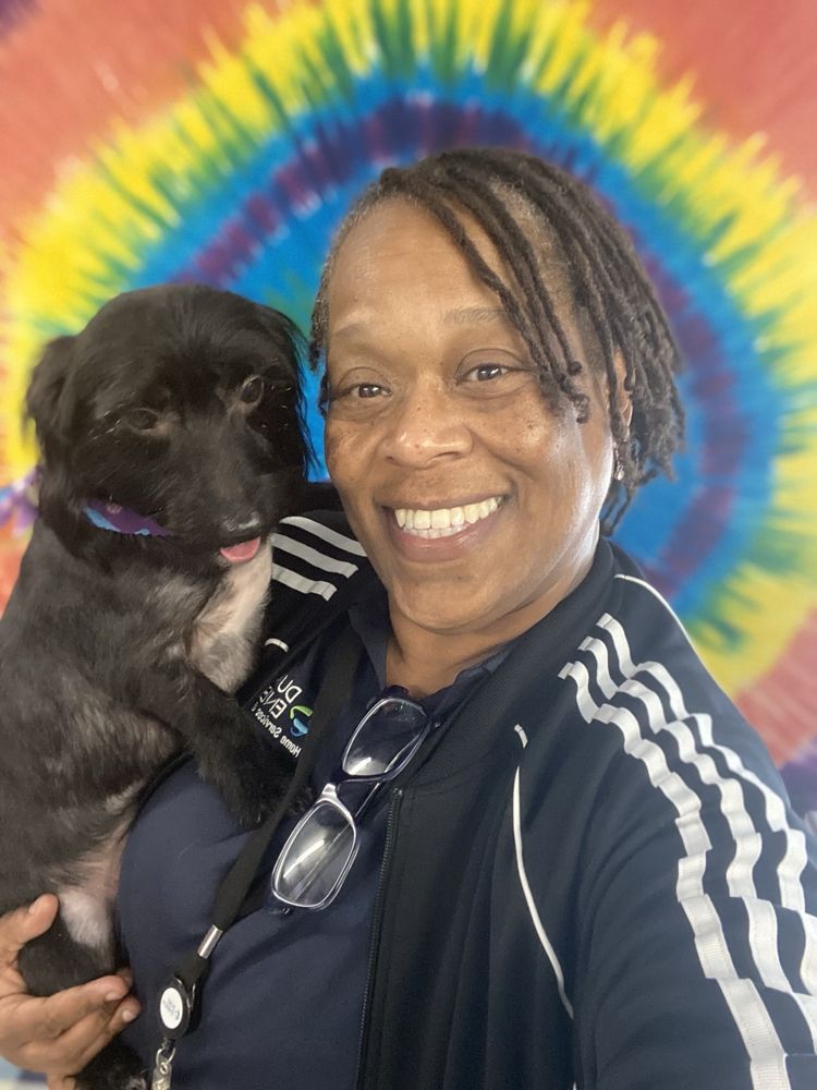 Grateful Pets Grooming And Boarding - pet boarding facility in Charlotte, NC
