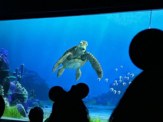 Turtle Talk with Crush by null