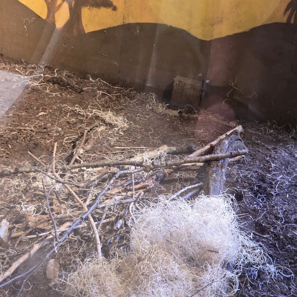 Chattanooga Zoo At Warner Park - Amusement Parks Near Me - Chattanooga, Tennessee