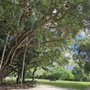 Greynolds Golf Course