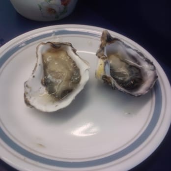 Clausen Oysters - Just plucked from the ocean, Oyster samples - Seafood Near Me - North Bend, Oregon Clausen Oysters - Just plucked from the ocean, Oyster samples - Seafood Near Me - North Bend, Oregon