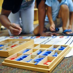 Wake Forest Montessori
