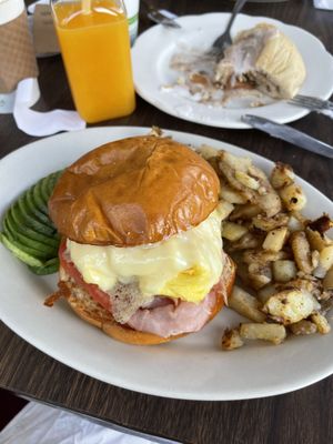 The Hatchery by null