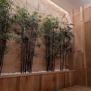 K Spa - Forest room - Day Spas Near Me - Buena Park, California K Spa - Forest room - Day Spas Near Me - Buena Park, California