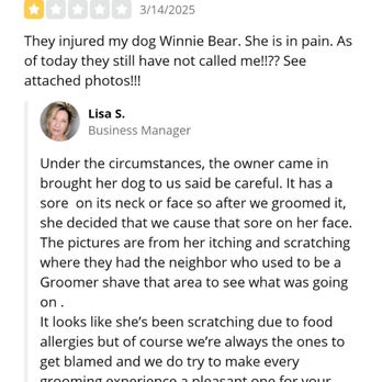 Dirty Dog-O-Mat - Pet Groomers Near Me - Yucca Valley, California