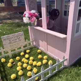 Adopt a chicken from our chicken coop Adopt a chicken from our chicken coop