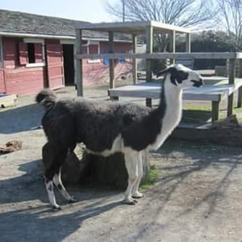 Virginia Zoo - Zoos Near Me - Norfolk, Virginia