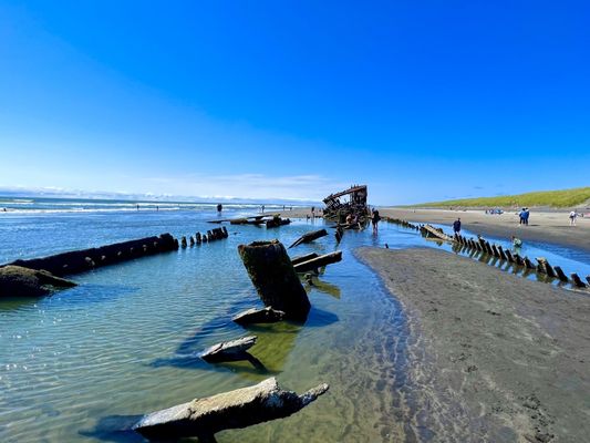 Wreck of the Peter Iredale by null