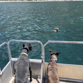 June Lake Marina - Marinas Near Me - June Lake, California