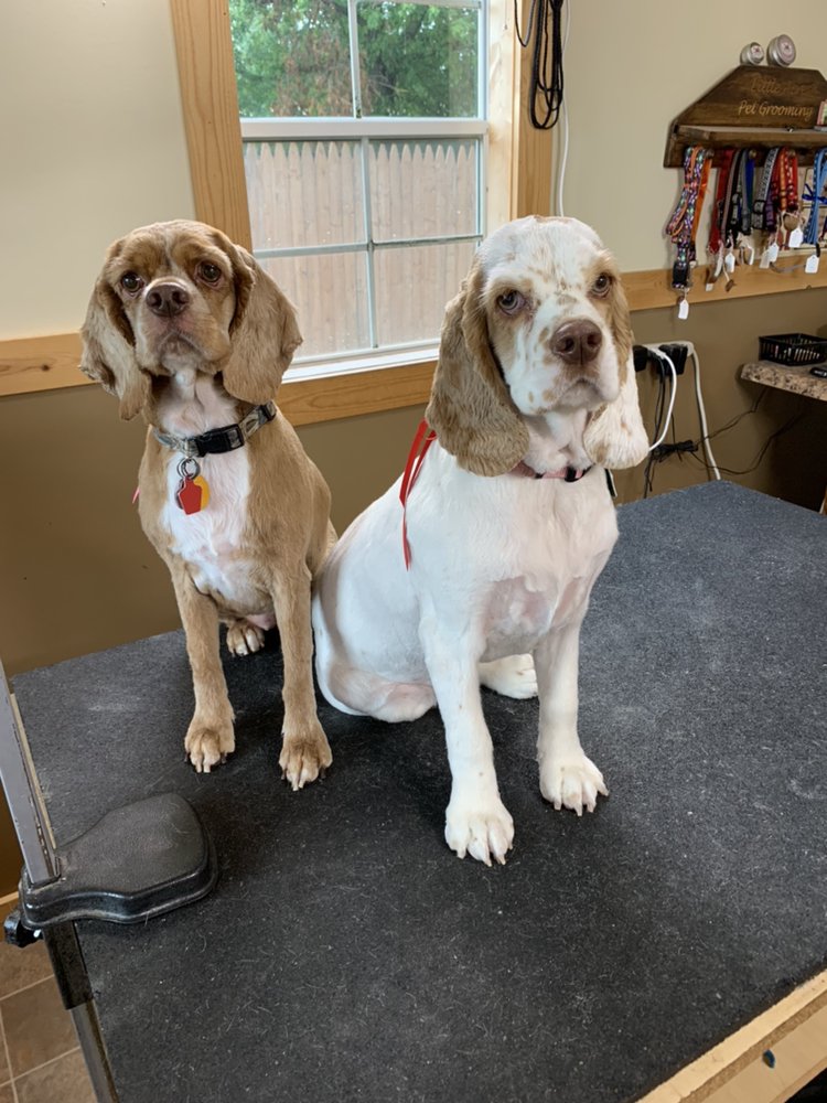 LITTLE ACRES PET GROOMING AND BOARDING Updated October 2024 149