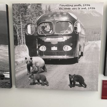 Columbia Icefields - Old days - Tours Near Me Columbia Icefields - Old days - Tours Near Me