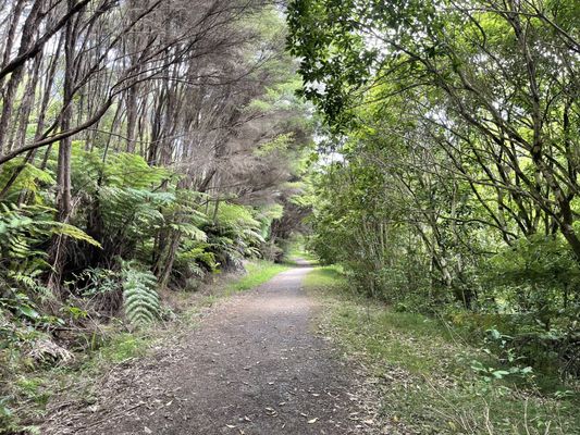 Waiheke Island by null